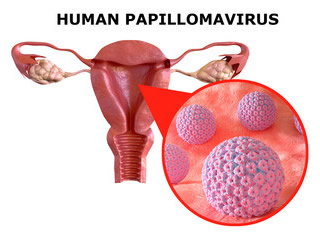 HPVイメージ